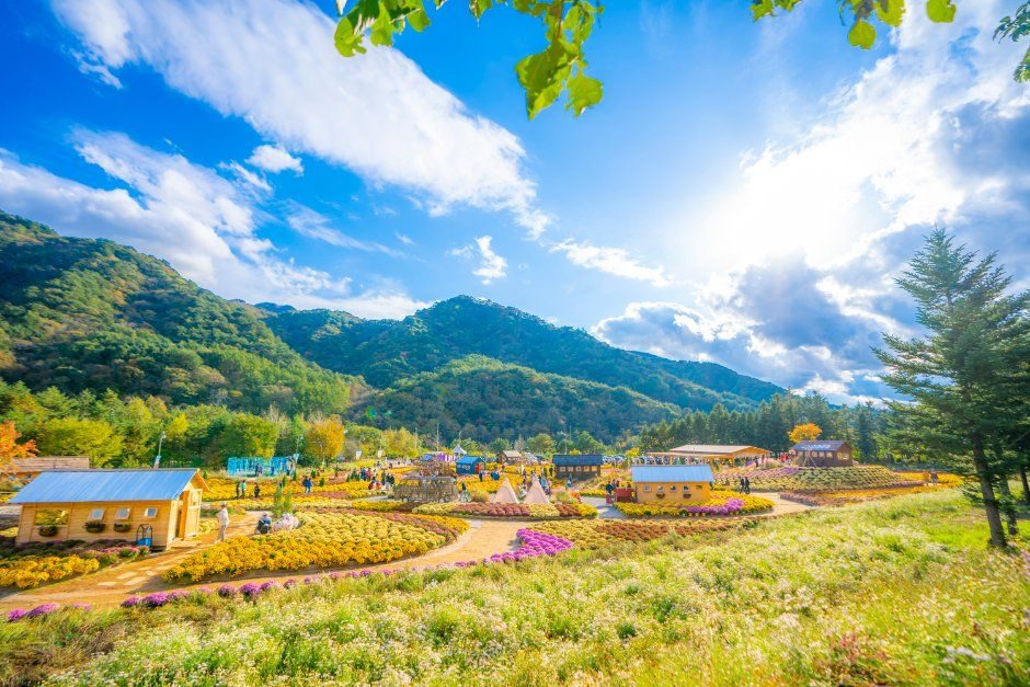 Photo of the Inje autumn flower festival
